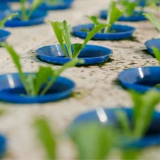 Hydroponic Air Pumps: Oxygenating Roots for Thriving Soilless Gardens